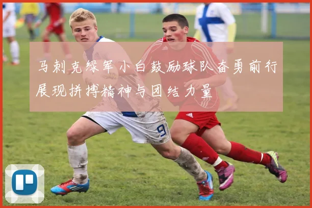 马刺克绿军小白鼓励球队奋勇前行展现拼搏精神与团结力量