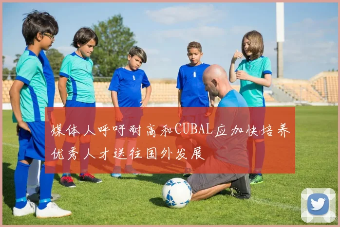 媒体人呼吁耐高和CUBAL应加快培养优秀人才送往国外发展